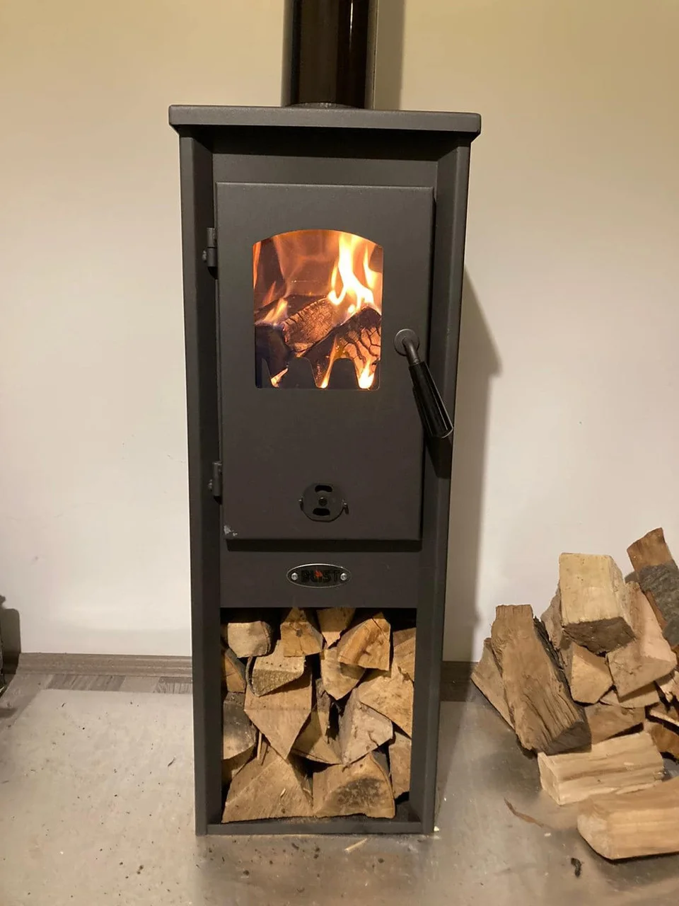 Печь-камин Blist Ekonomik Lux LM N стальная дверца Амазонка бай фото в Минске