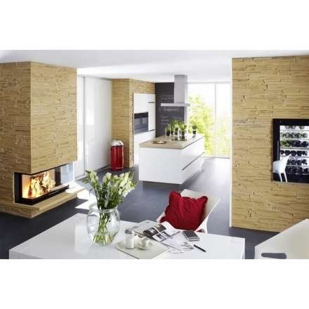 Каминная топка Brunner Panorama-Kamin 51/25/101/25 в Минске