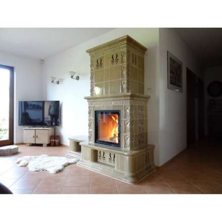 Каминная топка Austroflamm 55x57 K распашная дверца, радиальное стекло в Минске