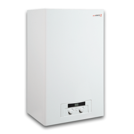Газовый котел Protherm Рысь 28 Lynx HK 28 в Минске