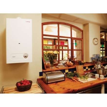 Газовый котел Protherm Тигр 24 KTZ в Минске