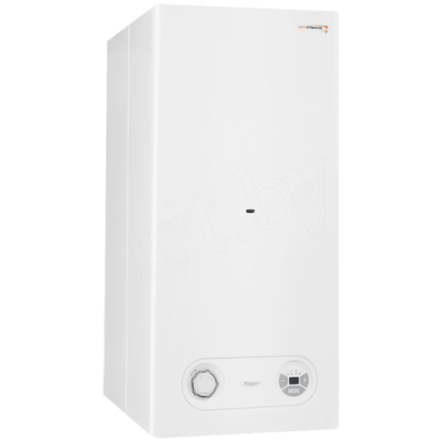Газовый котел Protherm Тигр 24 KTZ купить в Минске